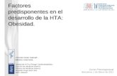 Factores predisponentes en el desarrollo de la HTA: Obesidad. Vicente Giner Galvañ. Médico Internista. Unidad de HTA y Riesgo Cardiometabólico. Sección.