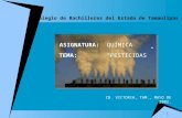 1 Colegio de Bachilleres del Estado de Tamaulipas ASIGNATURA:QUÍMICA TEMA:“PESTICIDAS” CD. VICTORIA, TAM., MAYO DE 2002.