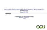 Utilización de Desechos Industriales en la Generación de Energía Caso CCU Compañía Cervecerías Unidas Planta Temuco 2009.
