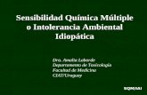Sensibilidad Química Múltiple o Intolerancia Ambiental Idiopática Dra. Amalia Laborde Departamento de Toxicología Facultad de Medicina CIAT/Uruguay SQM/IAI.