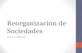 Reorganización de Sociedades Aspectos Tributarios.
