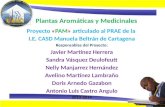 Plantas Aromáticas y Medicinales Proyecto «PAM» articulado al PRAE de la I.E. CASD Manuela Beltrán de Cartagena Responsables del Proyecto: Javier Martínez.