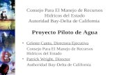 Consejo Para El Manejo de Recursos Hidricos del Estado Autoridad Bay-Delta de California Proyecto Piloto de Agua Celeste Cantu, Directora Ejecutiva Consejo.