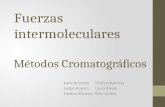 Fuerzas intermoleculares Métodos Cromatográficos Karla AcevedoMelissa Ramírez Sergio HuescaLaura Rivero Esteban PolancoElisa Santos.