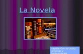 La Novela Haydée García Liebig Lenguaje y Comunicación.