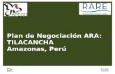 Plan de Negociación ARA: TILACANCHA Amazonas, Perú.