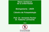 Bases biológicas de la enfermedad Bioingeniería - UNER Cátedra de Fisiopatología Prof. Dr. Armando Pacher Dr. Roberto Lombardo 2013.