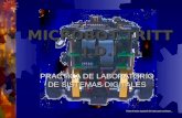 MICROBOT TRITT I.D.I PRACTICA DE LABORATORIO DE SISTEMAS DIGITALES Pulsa el botón izquierdo del ratón para continuar...