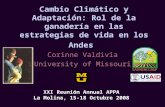 Cambio Climático y Adaptación: Rol de la ganadería en las estrategias de vida en los Andes Corinne Valdivia University of Missouri XXI Reunión Annual APPA.