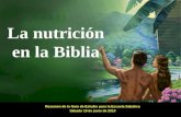 La nutrición en la Biblia Resumen de la Guía de Estudio para la Escuela Sabática Sábado 19 de junio de 2010.