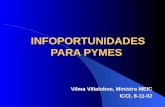 INFOPORTUNIDADES PARA PYMES Vilma Villalobos, Ministra MEIC ICCI, 8-11-02.