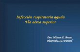 Infección respiratoria aguda Vía aérea superior Dra. Miriam E. Bruno Hospital C. G. Durand.