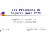 Los Programas de Seguros para PYME Respuesta Actual Del Mercado Asegurador Segurempresa 2004 – 21 de Octubre 2004 D. Alfonso Pérez Santos.