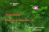15 febrero 2015 VI Domingo Tiempo Ordinario – B - VI Domingo Tiempo Ordinario – B - Música: “Pablo, levántate” 4’25 (Mendelsshon)
