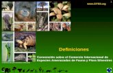 1 Definiciones  Convención sobre el Comercio Internacional de Especies Amenazadas de Fauna y Flora Silvestres © Derechos de autor Secretaría.