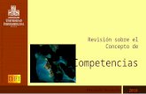 Revisión sobre el Concepto de Competencias Fernando Dorantes Ramírez 2010 Coordinación de Formación de Profesores y Gestión Curricular.