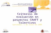 Criterios de evaluación en proyectos CRAFT y Colectivos Santander, 1 de Julio de 2004.