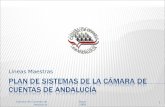 Líneas Maestras 1 Mayo 2009Cámara de Cuentas de Andalucía.