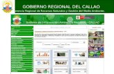 GOBIERNO REGIONAL DEL CALLAO Gerencia Regional de Recursos Naturales y Gestión del Medio Ambiente.