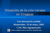 Situación de la cría vacuna en Uruguay Una descripción posible Montevideo, 10 de mayo, 2005 CAF, Plan Agropecuario Blasina & Tardáguila Consultores - (02)