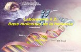 Laboratorio # 2: Base molecular de la herencia Biol 3300L Genética.