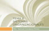 TEMA II SISTEMAS ORGANIZACIONALES MSc. Samuel Condarco Flores.