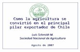 Como la agricultura se convirtió en el principal pilar exportador de Chile Luis Schmidt M. Sociedad Nacional de Agricultura Agosto de 2007.