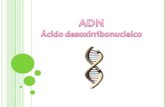 ¿ Qué es? Traducción genética Funciones biológicas Replicación del ADN Transcripción genética ¿ Cómo está formado? Daño en el ADN 2 Débora Andrade.