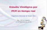 Estudio Virológico por PCR en tiempo real Diagnóstico Molecular de Herpes virus MSc. Mónica Cappetta Lab. Biología Molecular, AEPSM.