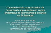 Caracterización isoenzimática de Leishmania spp aisladas en zonas endémicas de leishmaniasis cutánea en El Salvador Proyecto 02.30 CIC-UES M.Sc. Miguel.