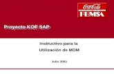 Indice Proyecto KOF SAP Instructivo para la Utilización de MDM Julio 2002.
