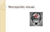 Percepción visual.. Definición: La percepción constituye un momento del proceso cognoscitivo intermedio entre la pura sensación y la aprehensión propiamente.