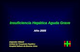 Insuficiencia Hepática Aguda Grave Año 2005 Alejandra Villamil Unidad de Trasplante Hepático Hospital Italiano de Buenos Aires.