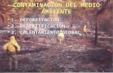 CONTAMINACIÓN DEL MEDIO AMBIENTE 1. DEFORESTACION 2. DESERTIFICACION. 3. CALENTAMIENTO GLOBAL.