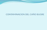 CONTAMINACION DEL CAÑO BUGRE. MORALES DORIA MILEYDIS NEGRETE BOLIVAR MARIA ZARANTE ARTEAGA YESMITH CARVAJAL RODIÑO MAURICIO 11-3 METODOLOGIA INSTITUCION.