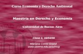 Clase 1, 16/04/09 Mariana Conte Grand  Curso Economía y Derecho Ambiental Maestría en Derecho y Economía Universidad de Buenos Aires.