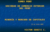 COMEX PERÚ SOCIEDAD DE COMERCIO EXTERIOR DEL PERÚ MINERÍA Y MERCADO DE CAPITALES 25 de Junio 2009 VICTOR GOBITZ C.