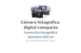 Cámara fotográfica digital compacta Corrección Fotográfica Semestre 2011-B Lic. Gabriela Ramírez Trejo.