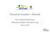 Parashat Vayakel - Pekudé Por: Eliyahu BaYonah Director Shalom Haverim Org New York.
