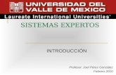 SISTEMAS EXPERTOS INTRODUCCIÓN Profesor: Joel Pérez González Febrero 2010.