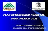 PLAN ESTRATEGICO FORESTAL PARA MEXICO 2025 FRANCO SOBERANES ELIZABETH GRANADOS DE LA CRUZ DANIELA MAURY.