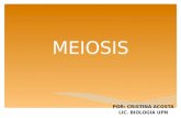 MEIOSIS POR: CRISTINA ACOSTA LIC. BIOLOGÍA UPN. MEIOSIS 1 Célula madre diploide (2n) Inicia con Termina 4 Células haploides (n) Proceso realizado en Células.