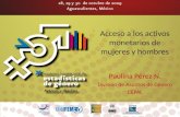 Acceso a los activos monetarios de mujeres y hombres Paulina Pérez N. División de Asuntos de Género CEPAL.