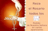 Reza el Rosario todos los días Pedido de Nuestra Señora en varias apariciones.
