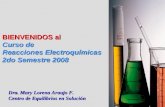 BIENVENIDOS al Curso de Reacciones Electroquímicas 2do Semestre 2008 Dra. Mary Lorena Araujo F. Centro de Equilibrios en Solución.