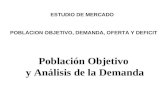 Población Objetivo y Análisis de la Demanda ESTUDIO DE MERCADO POBLACION OBJETIVO, DEMANDA, OFERTA Y DEFICIT.