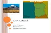 I. TARAPACÁ capital: Iquique Provincias: Iquique-Tamarugal.