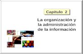 Capitulo 2 La organización y la administración de la información.