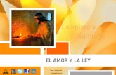 EL AMOR Y LA LEY Octubre – Diciembre 2014 apadilla88@hotmail.com.