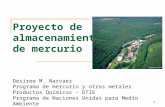 1 Proyecto de almacenamiento de mercurio Desiree M. Narvaez Programa de mercurio y otros metales Productos Químicos - DTIE Programa de Naciones Unidas.